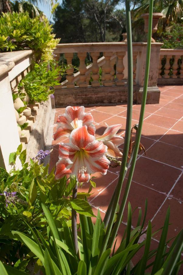 Casa De Las Vistas Palma di Maiorca Esterno foto