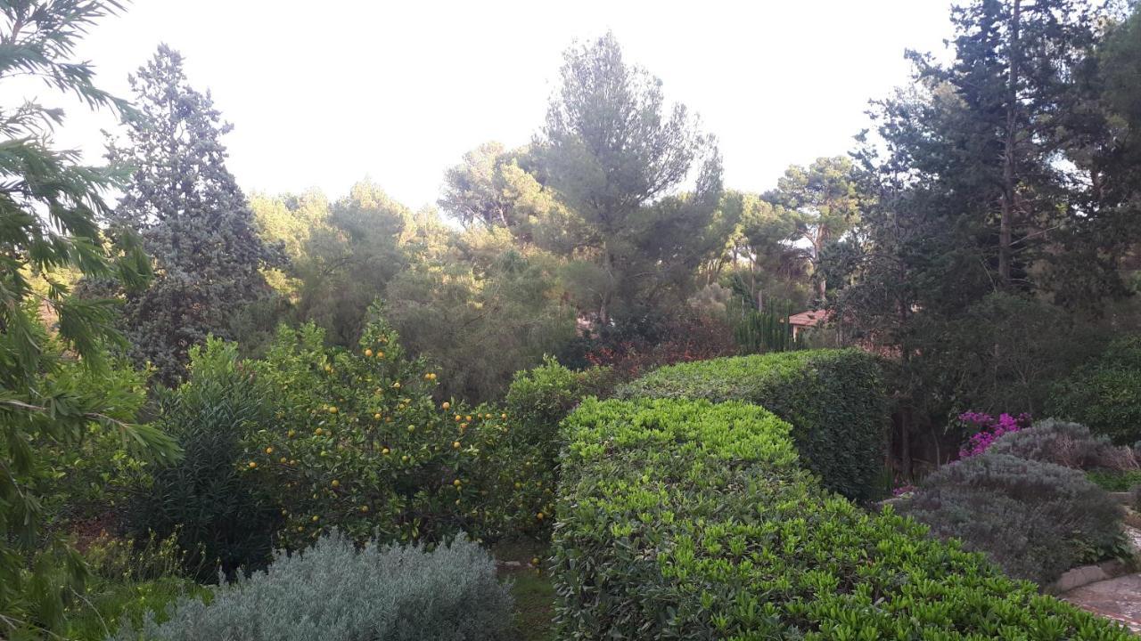 Casa De Las Vistas Palma di Maiorca Esterno foto