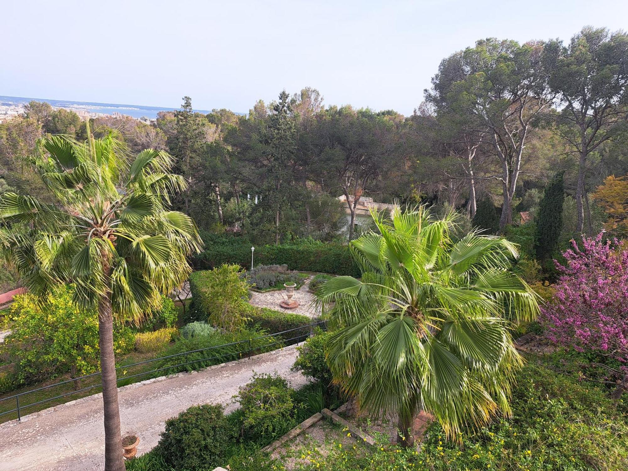 Casa De Las Vistas Palma di Maiorca Esterno foto