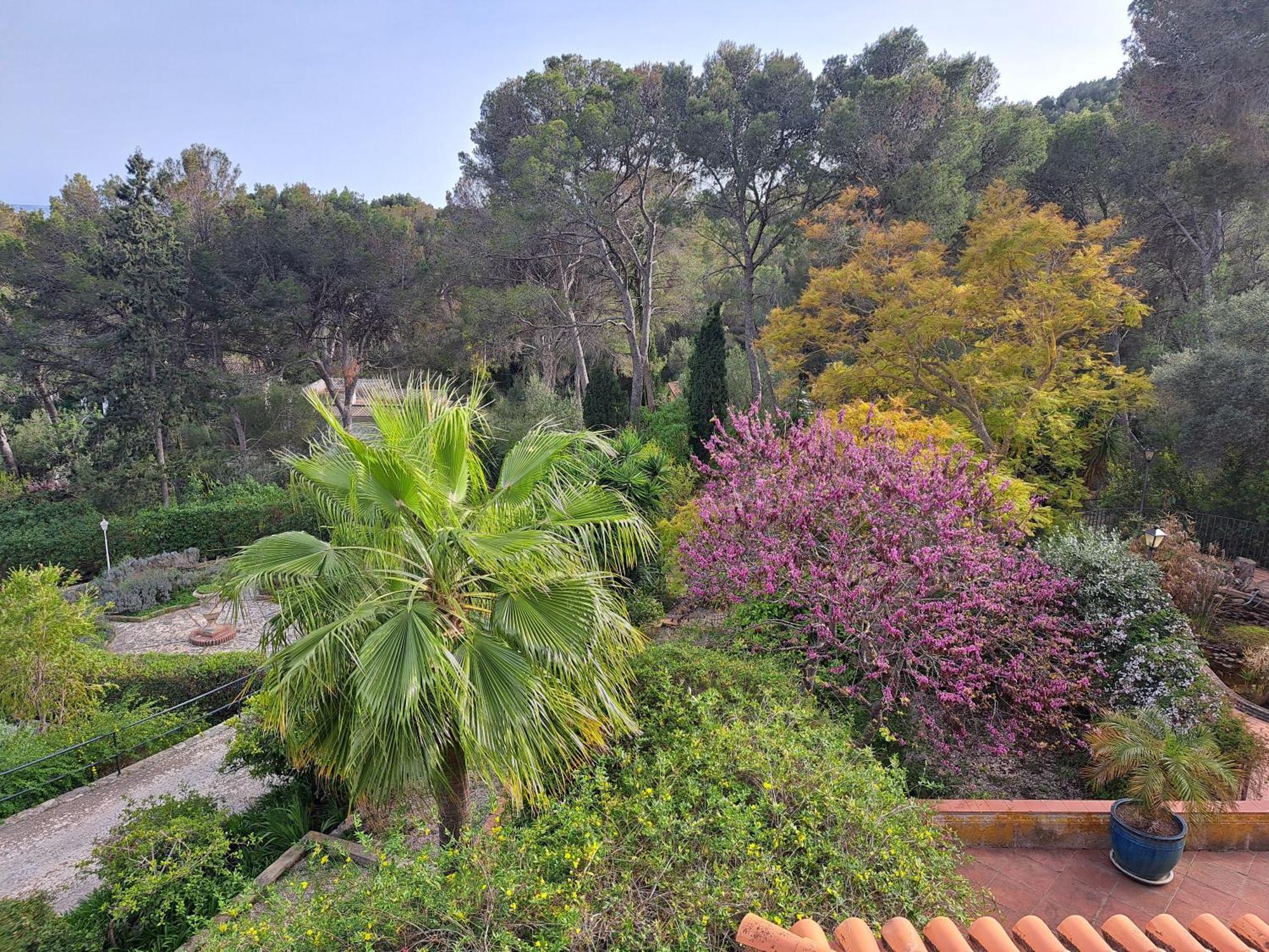 Casa De Las Vistas Palma di Maiorca Esterno foto