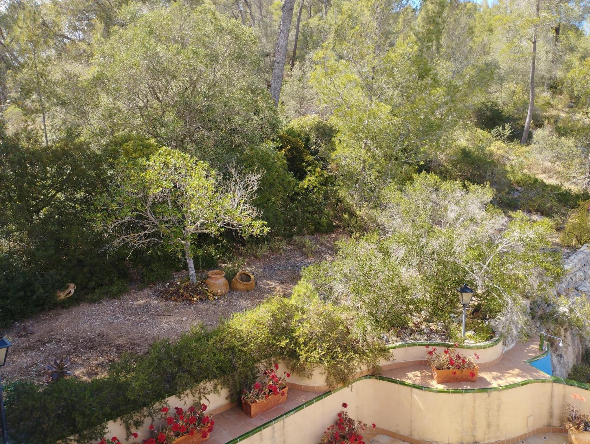 Casa De Las Vistas Palma di Maiorca Esterno foto
